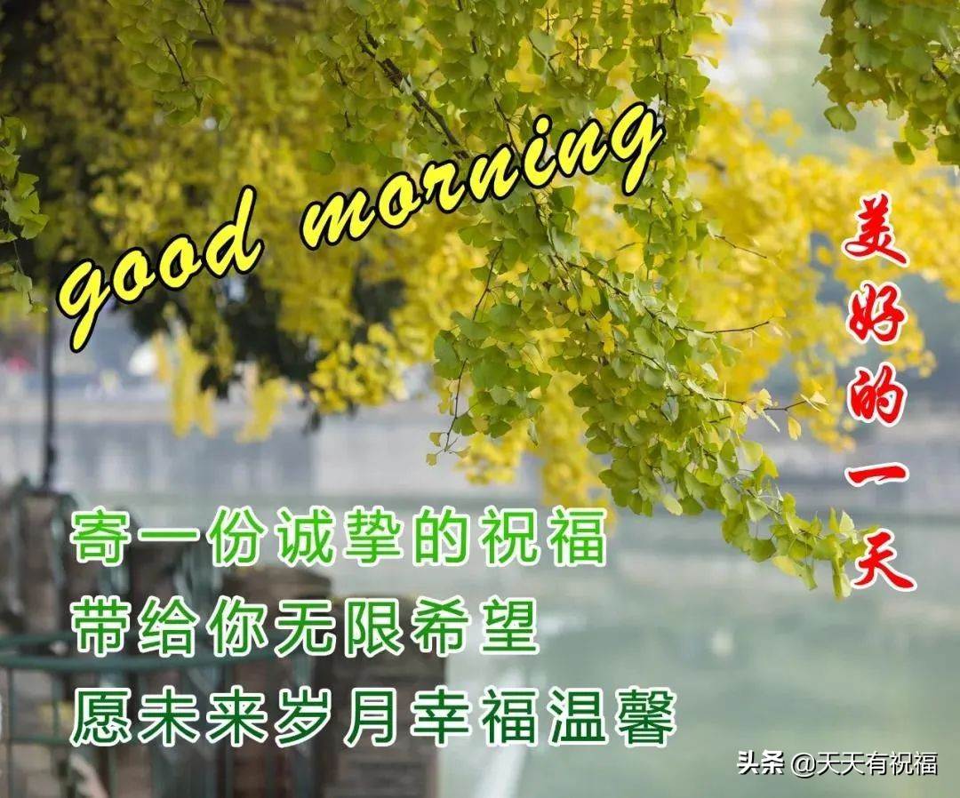 早上好祝福语优美句子图片集锦 精美的早上好及问候的祝福语图片